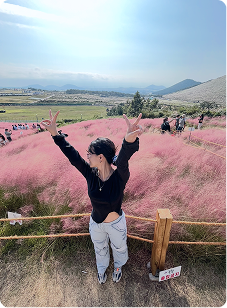 Pink muhly grass field