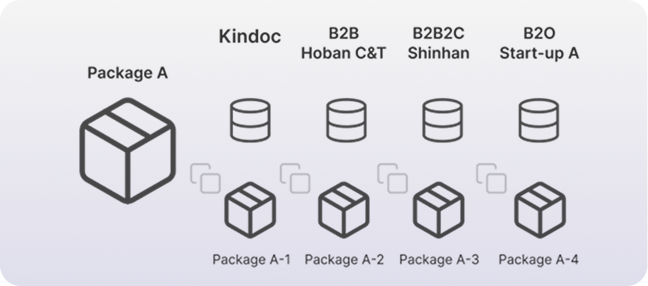 Duplicate package configuration